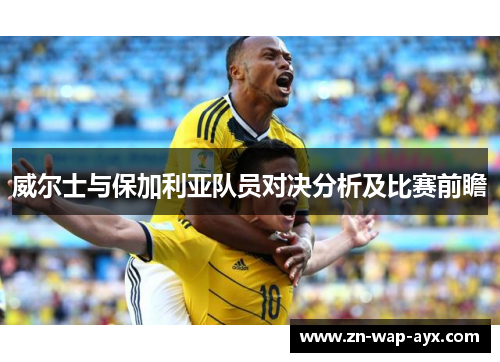 威尔士与保加利亚队员对决分析及比赛前瞻